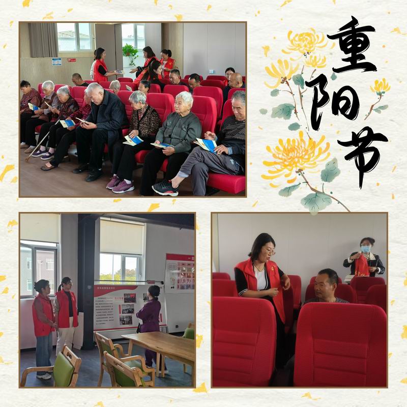 图片16